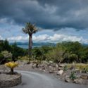 Kells Bay Sub-tropical Gardens